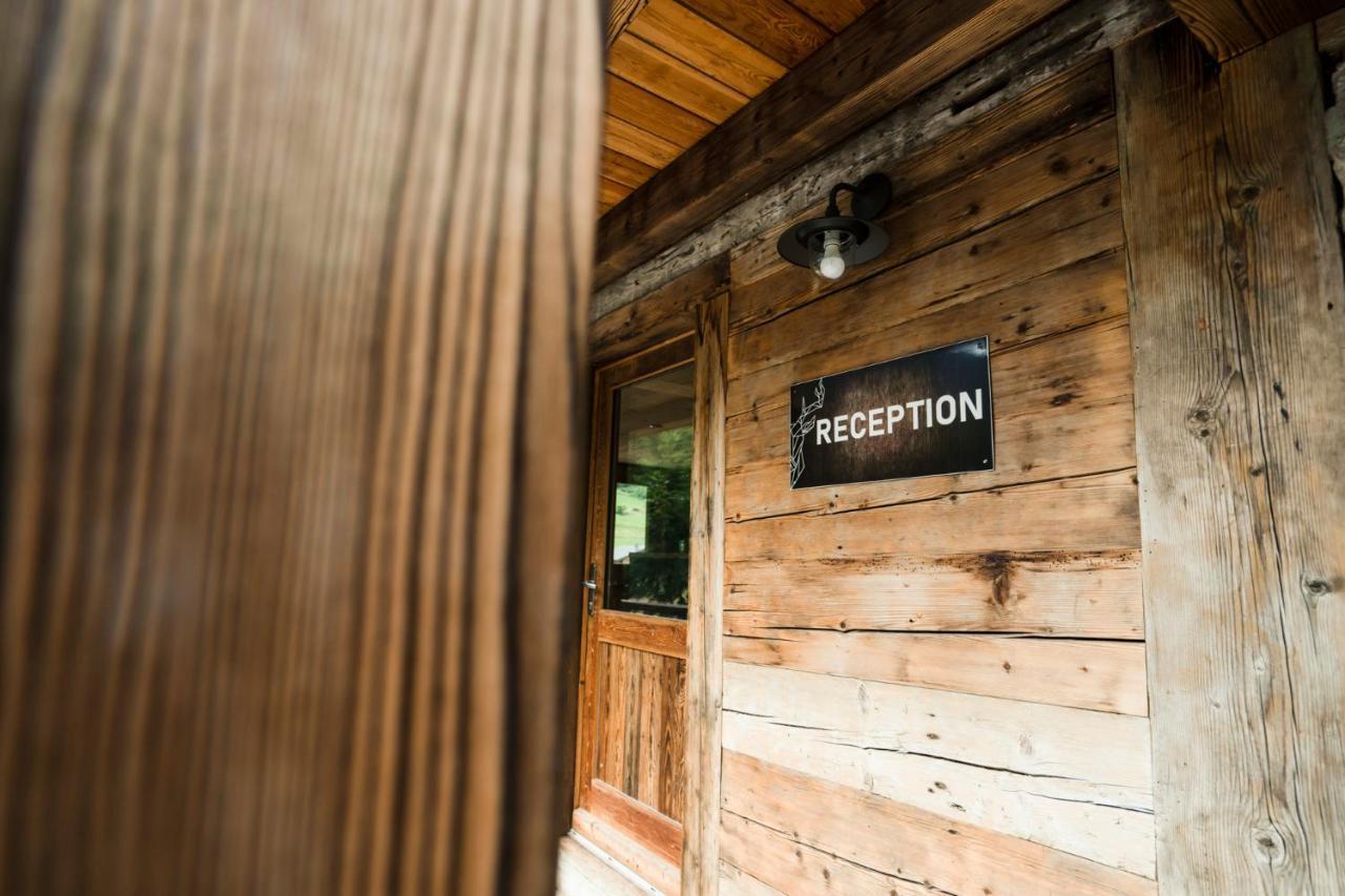 Chalet Les Cerfs Châtel Εξωτερικό φωτογραφία